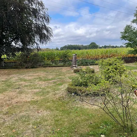 Apartament To Huus Bei Hanne Nienburg (Lower-Saxony)